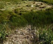 image of texture