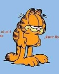 image of garfield