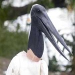 image of bird