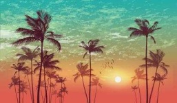 image of palm_tree