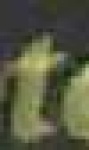 image of char
