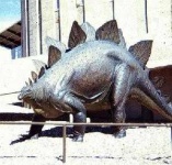 image of stegosaurus