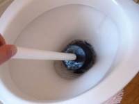 image of plunger