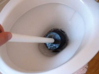 image of plunger #0