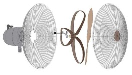 image of fan