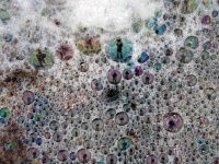 image of bubbly #19