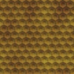 image of texture