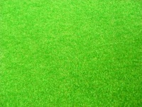 image of grass