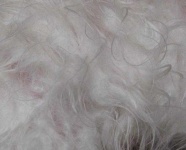 image of texture