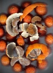 image of orange