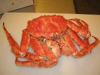 image of king_crab #26