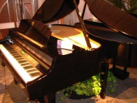 image of grand_piano #23