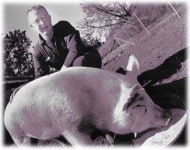 image of hog