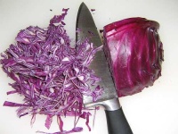 image of head_cabbage