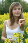 image of rapeseed