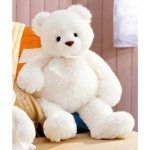 image of teddy_bear