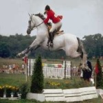 image of horse_jumping #15