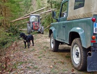 image of jeep_car