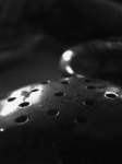 image of saltshaker