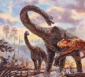 image of brontosaurus
