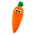 image of carrot #32