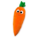 image of carrot