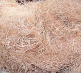 image of texture