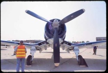 image of wing