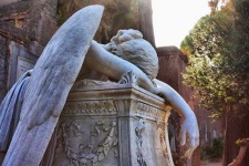 image of angel