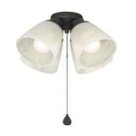 image of fan