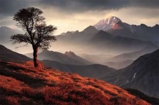 image of landscape