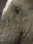 image of texture