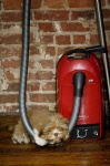 image of vacuum