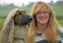 image of afghan_hound