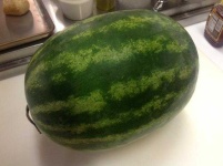 image of watermelon