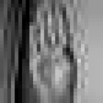 image of sign_language
