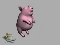image of pig