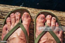 image of human_body_parts