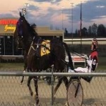 image of harness_racing #7