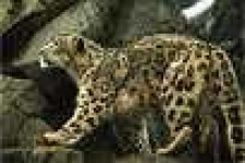 image of jaguar_car