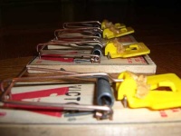 image of mousetrap