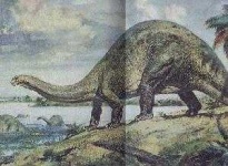 image of brontosaurus