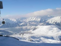 image of alp