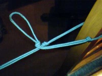 image of knot