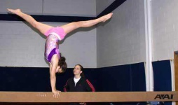 image of balance_beam