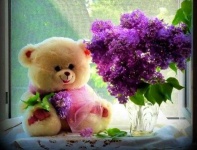 image of teddy_bear