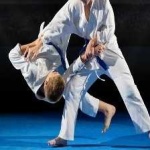 image of judo #15