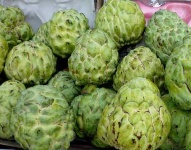 image of custard_apple #16