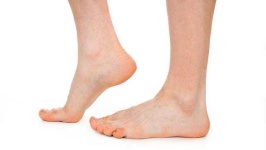 image of human_body_parts