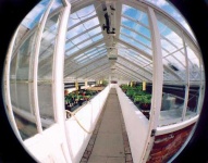 image of greenhouse